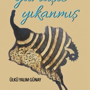 gumusleyikanmis