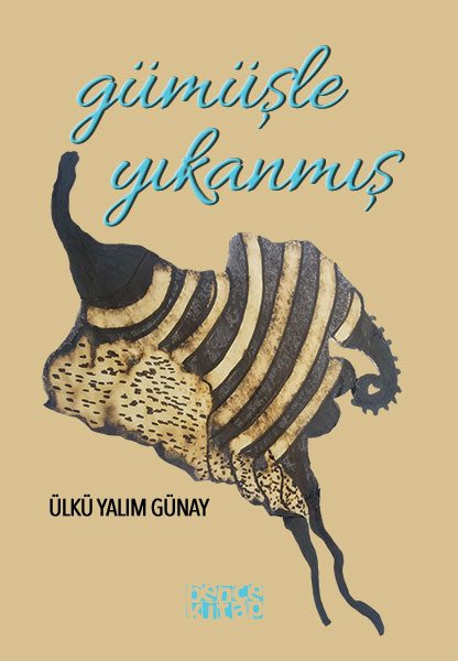 gumusleyikanmis